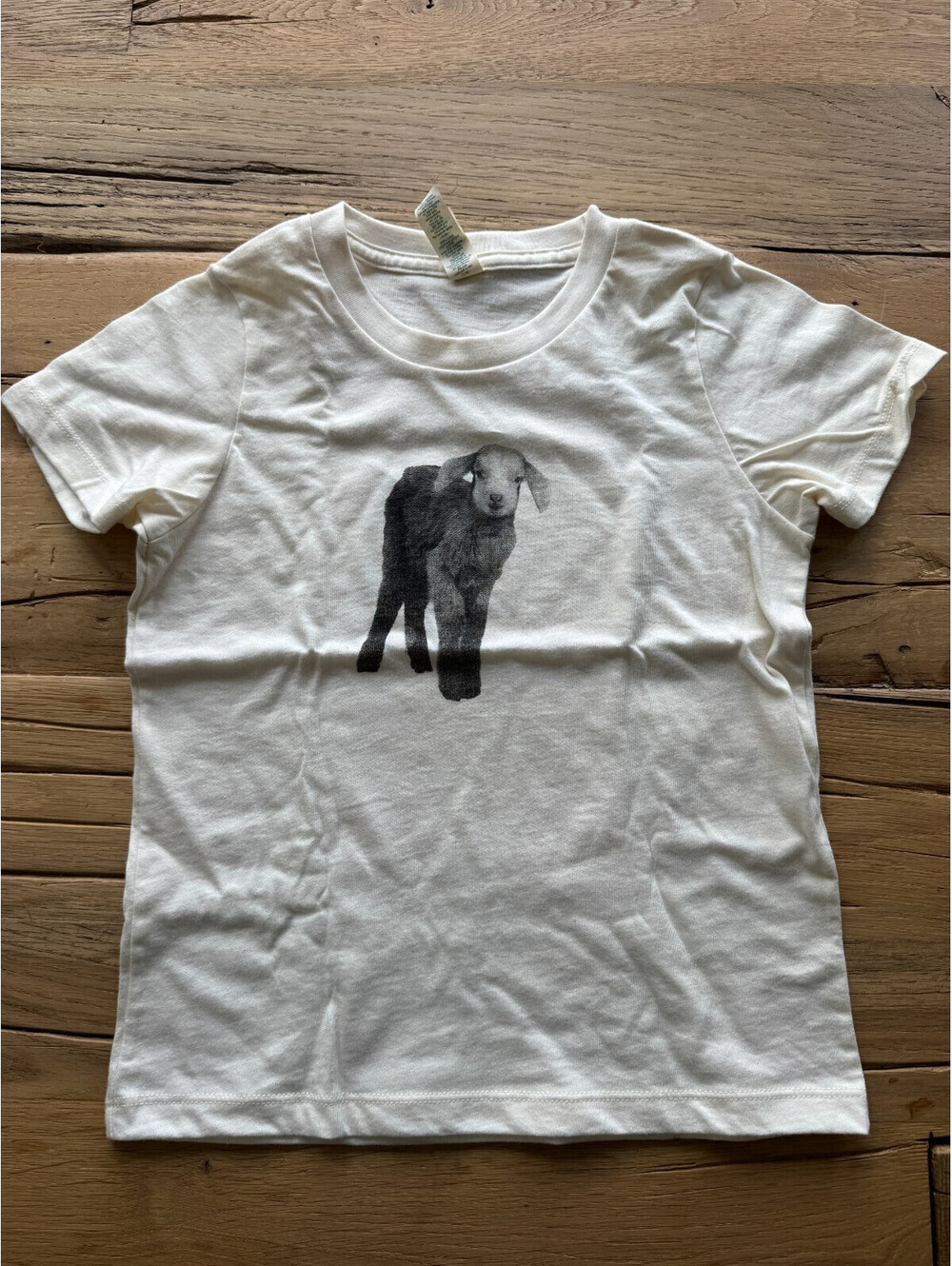 Beekman 1802 GOAT T-Shirt Size (6) L Children Baby Toddler